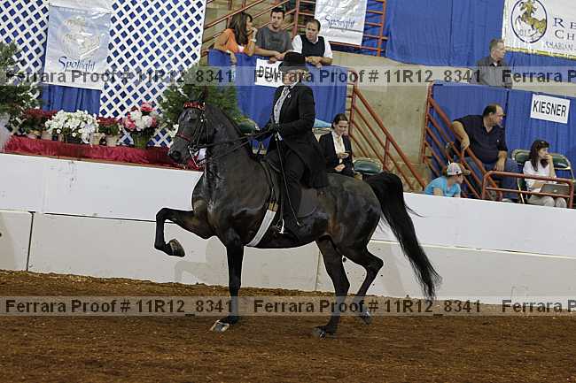 Proof 11r12_8341