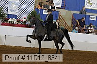 11r12_8341 proof