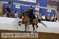 11r12_8342 proof