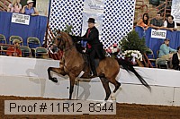 11r12_8344 proof