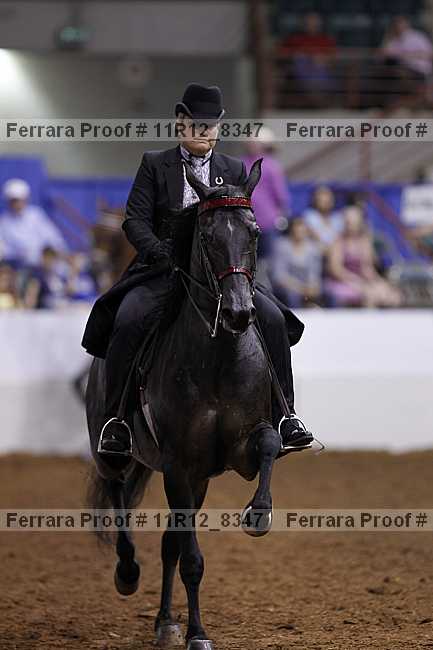 Proof 11r12_8347