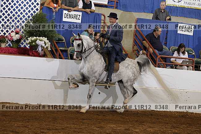 Proof 11r12_8348