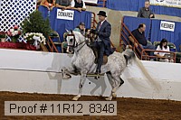 11r12_8348 proof