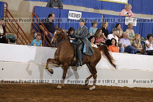 Proof 11r12_8349