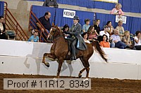 11r12_8349 proof