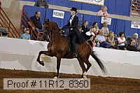 11r12_8350 proof