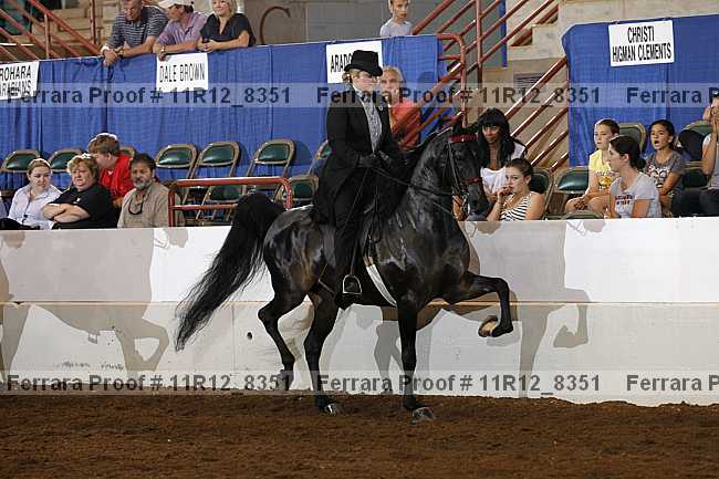Proof 11r12_8351