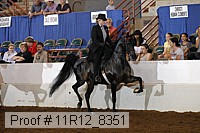 11r12_8351 proof