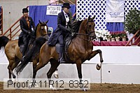 11r12_8352 proof