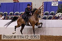 11r12_8353 proof