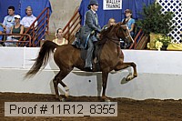 11r12_8355 proof
