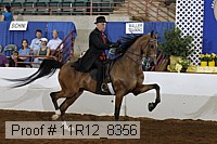 11r12_8356 proof