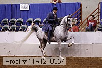11r12_8357 proof