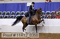 11r12_8358 proof