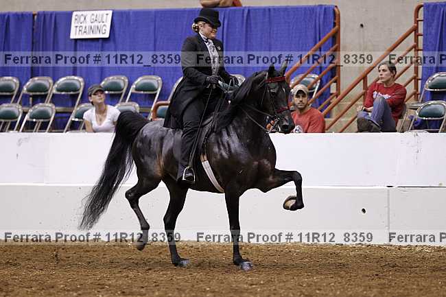 Proof 11r12_8359