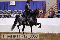 11r12_8359 proof