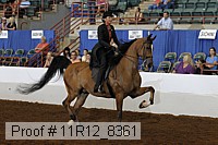 11r12_8361 proof