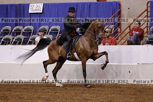 Proof 11r12_8362