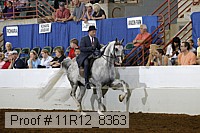 11r12_8363 proof