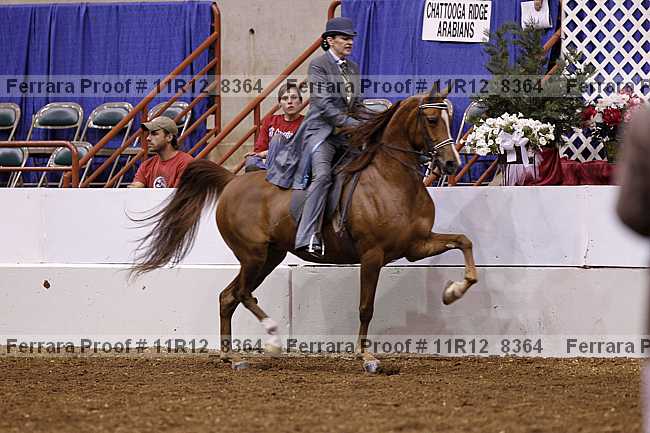 Proof 11r12_8364