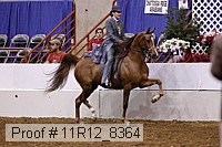 11r12_8364 proof