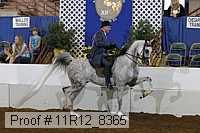 11r12_8365 proof
