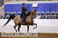 11r12_8367 proof