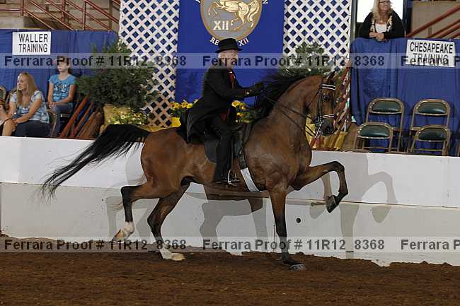 Proof 11r12_8368