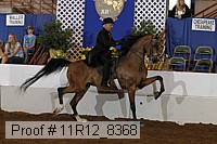 11r12_8368 proof