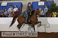 11r12_8369 proof