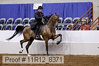 11r12_8371 proof