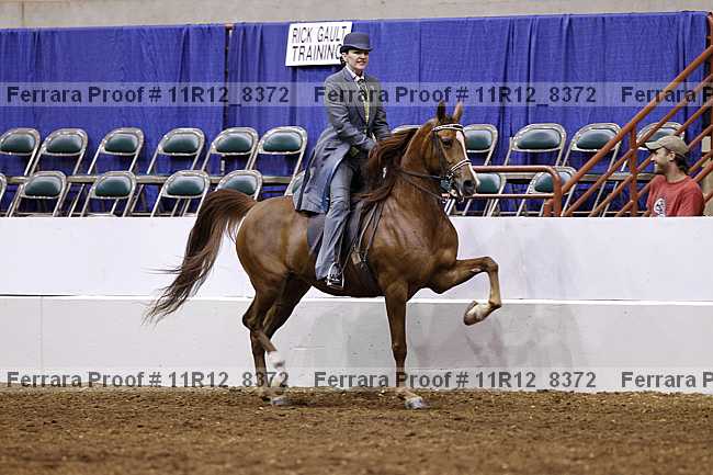 Proof 11r12_8372