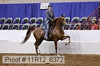 11r12_8372 proof
