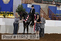 11r12_8374 proof