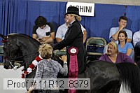 11r12_8379 proof