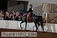 11r12_8384 proof