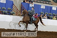11r12_8392 proof