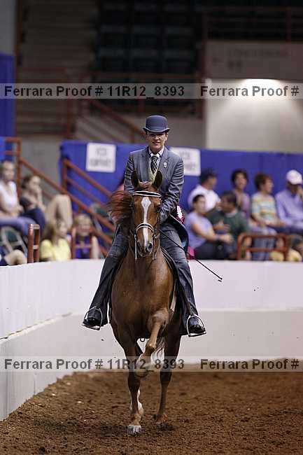 Proof 11r12_8393