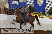 11r12_8394 proof