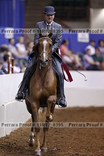 Proof 11r12_8395