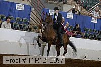 11r12_8397 proof