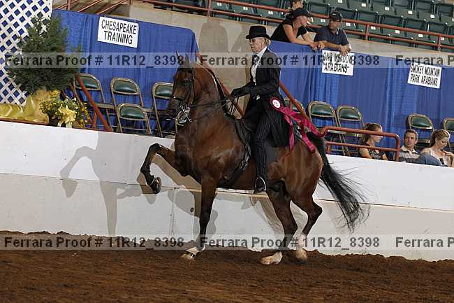 Proof 11r12_8398