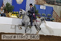 11r12_8403 proof