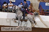 11r12_8405 proof
