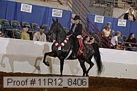 11r12_8406 proof