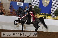 11r12_8409 proof