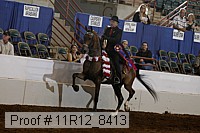 11r12_8413 proof