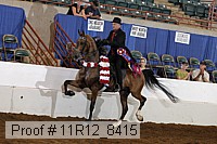 11r12_8415 proof