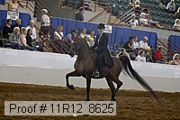 11r12_8625 proof