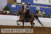 11r12_8626 proof